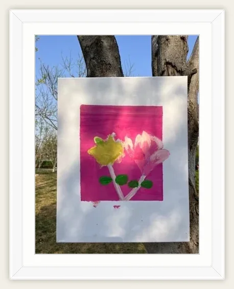 《透明花影》，葫芦，2025