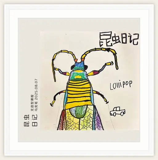 《昆虫日记》，棒棒糖，2025-08-07
