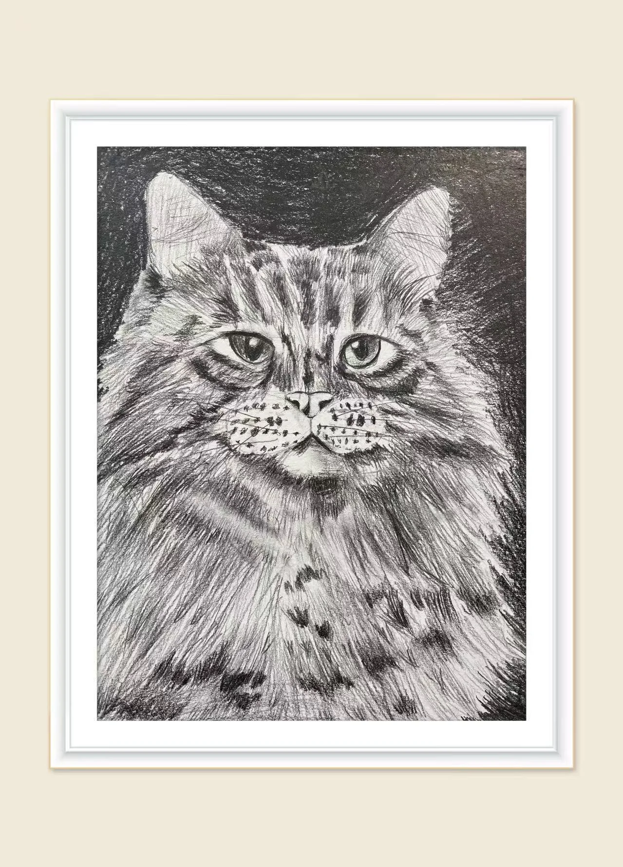 《猫的凝视》，逗逗，2025