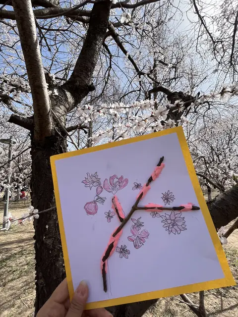《樱花时钟》，逗逗，2022